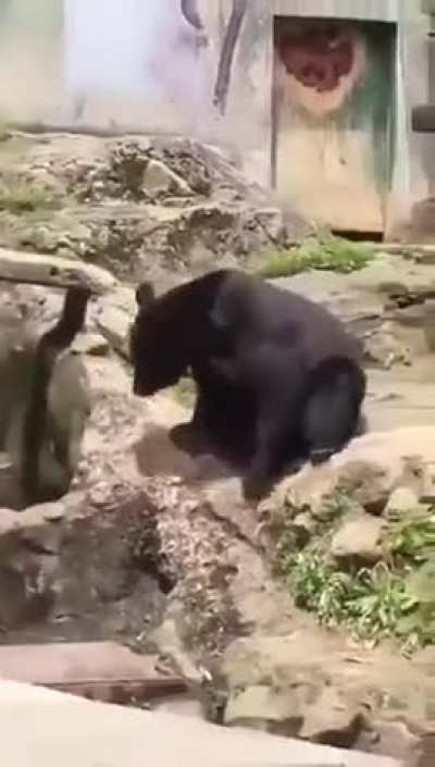 uma hora ele aprende