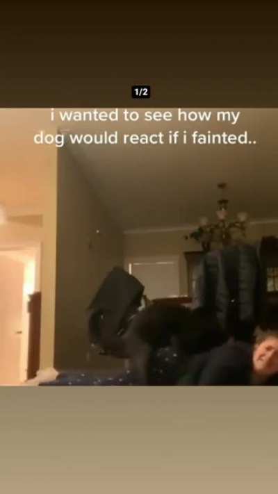 Naughty Dog