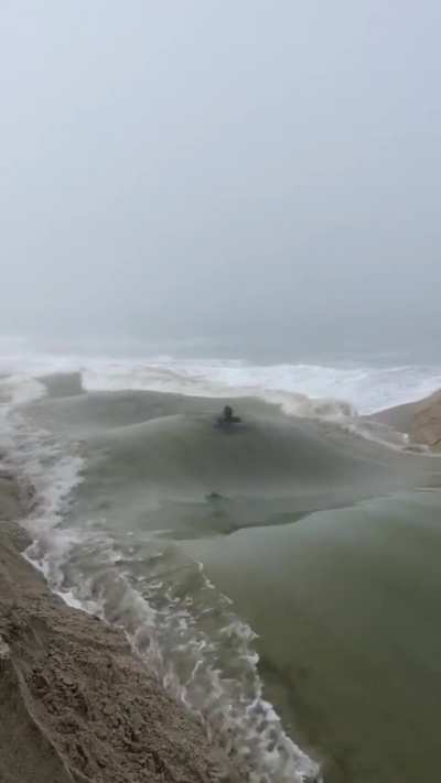 My ocean people need me
