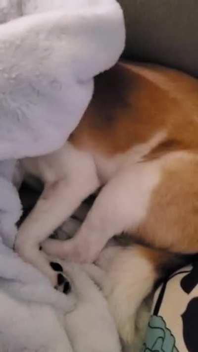 Living his best life