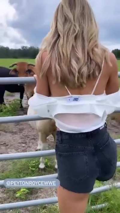 Cowgirl