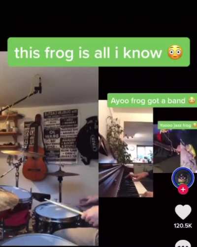 Shy little frog (: