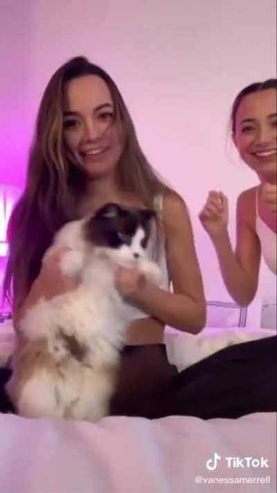 Dance Skillz