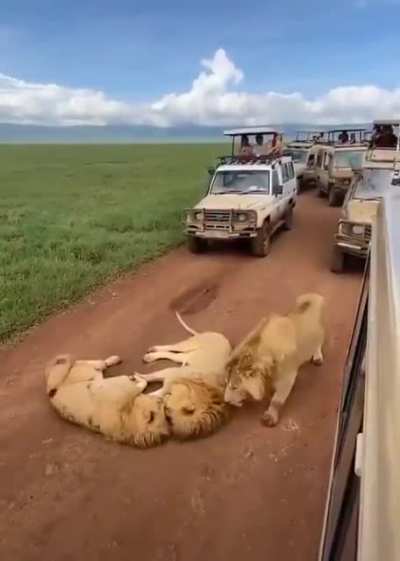 A roadblock in Tanzania