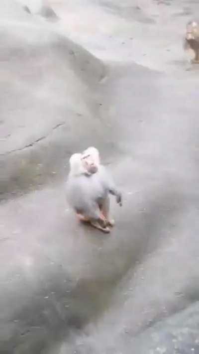 Monke backflip