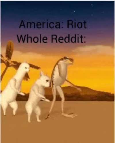 Flooded with stupid American memes