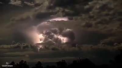just amazing nature