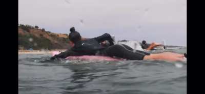 Her ass surfing