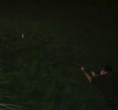 WCGW shooting with a harpoon gun