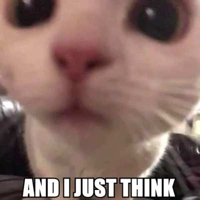 drain cats