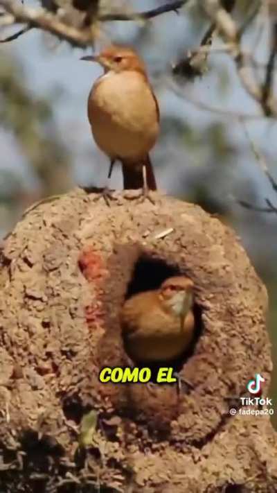 Seguimos con 