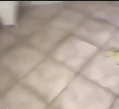 Wa