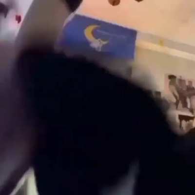 Cat.