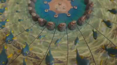 3D Zoetrope reaching optimal speed