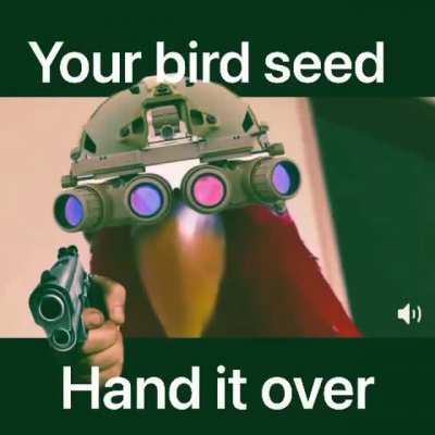 Seed rule