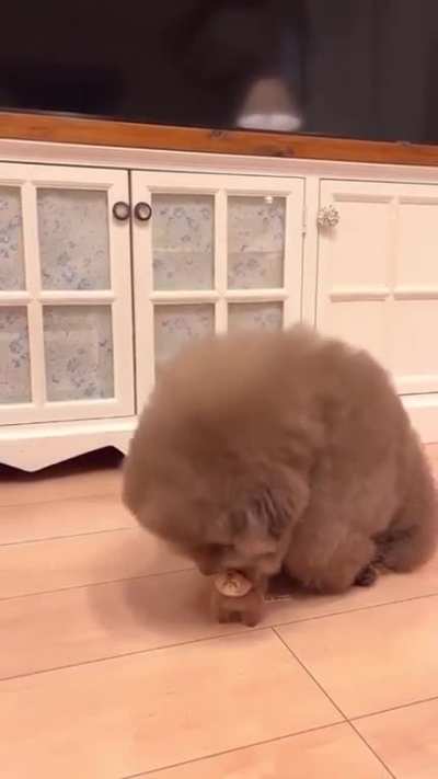 My favorite toy