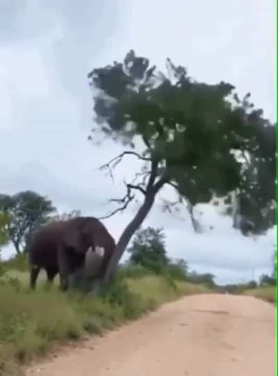 When you've got an itch that needs scratching