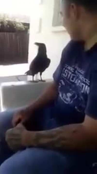 Go ahead, pet the bird.