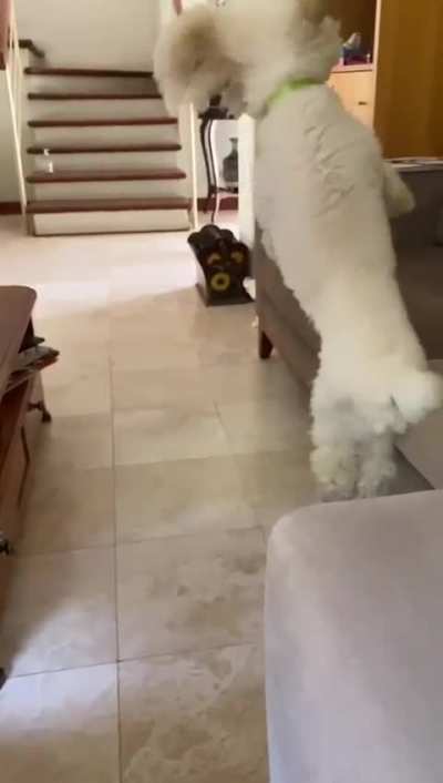 Oliver jumping in slow motion