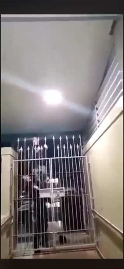 He was certain he'd climb over. His jaw, however, was on the fence about it..