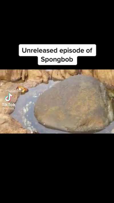 Squidward’s had it with Krabs