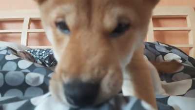 oh wait, are you filming me?