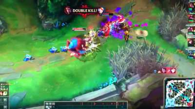 Gnar takes flight