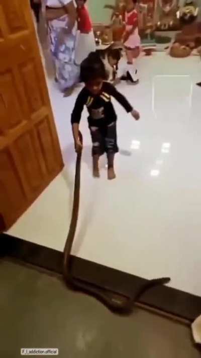 Normal kid in Ohio