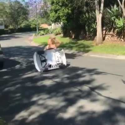 Crashed into a car but didn't spill her drink