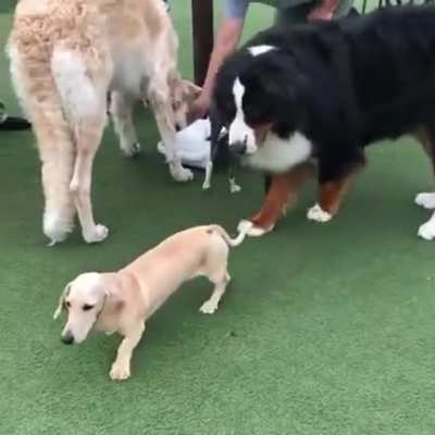 Bullying? Not on my watch!