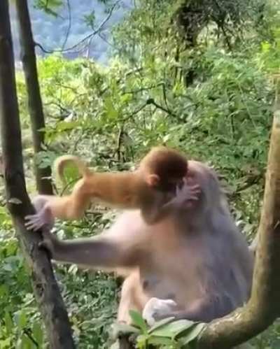 Showing affection for mother