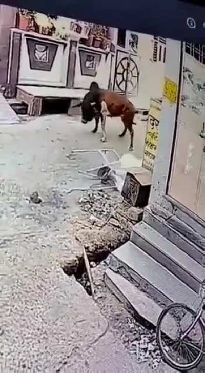 Show this to whoever said ‘not panicking is the best self defence’