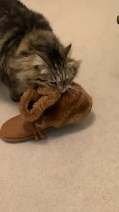 hmmm