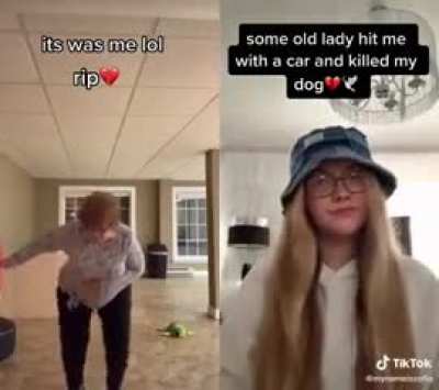 Rip🗿