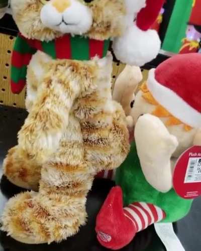 cursed_toys