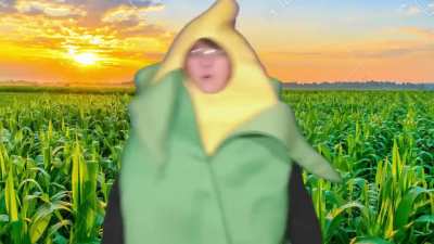Corn