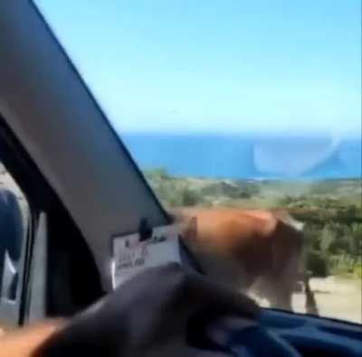 Giving Directions