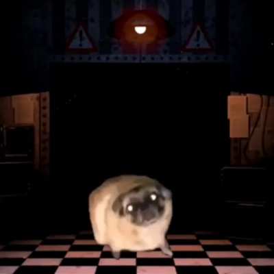 Look at him go