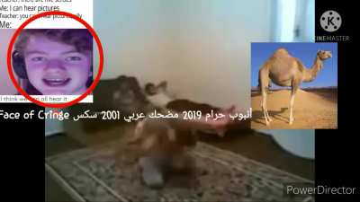Punjabi 2019 sex meme funy نيغا الجنس ولعب اطفال كرات أنبوب الجنس<wbr>الحلم لم يغشال<wbr>حلم لم يغشلعب نيغا حرام knuckles meme approved nigga haram unboxing يونغ بي ام funy اللهأ<wbr>نبوب حرام 2019 مضحك عربي 2001 سكس (sorry if it's bad)