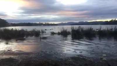 Sunset, Claremont Tasmania, Australia.