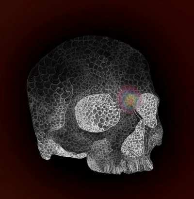 My wife asked me why I kept drawing this skull every night. I told her “there are people tripping right now, and they need cool stuff to look at.” Hope you like it! I’ll link the still image in the comments in case you want to zoom in on my obsession.