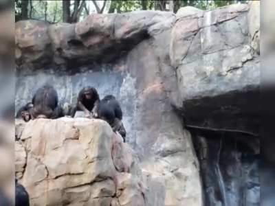 Get your ass back in here