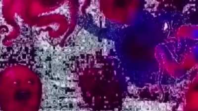 Hi