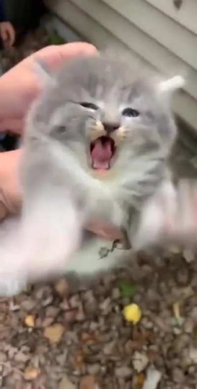 He is angry...