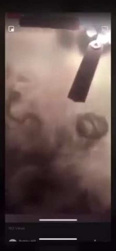 Ayg