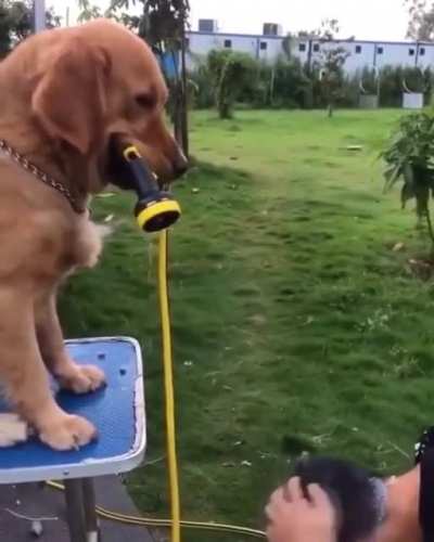 Hmmm