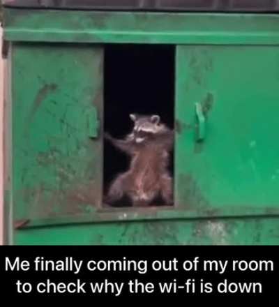 meirl