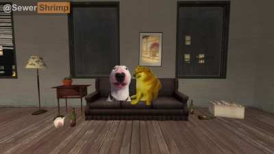 Call me by your doge