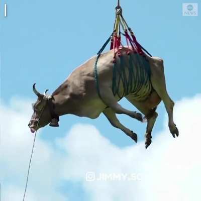 Air cow