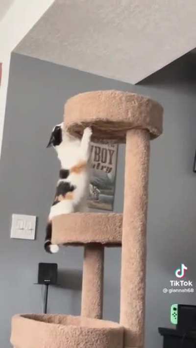 Perfect form 10/10